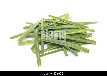 Grün-Zitronengras oder Citronella Rasen Blatt. Studio gedreht isolierten auf weißen Hintergrund Stockfoto