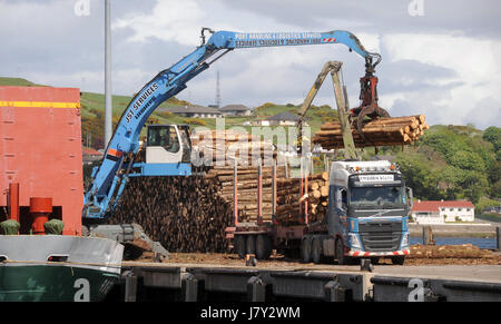 VERLADEN VON HOLZ KRAN AM CAMPELTOWN HAFEN KINTYRE SCHOTTLAND, VEREINIGTES KÖNIGREICH Stockfoto