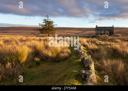 Blick auf die Nonne Kreuz Bauernhof, Dartmoor National Park in der Nähe der Sonnenuntergang. Stockfoto