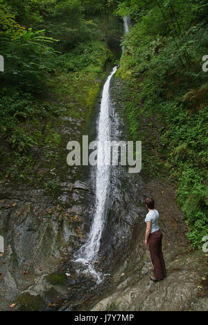 Whitelady Wasserfall in Lydford Schlucht, auf Dartmoor, Okehampton, Devonshire, England Stockfoto