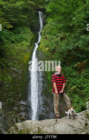 Whitelady Wasserfall in Lydford Schlucht, auf Dartmoor, Okehampton, Devonshire, England Stockfoto