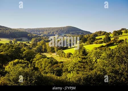 Eine hügelige Landschaft in Ryedale in der Nähe von Hawnby, North Yorkshire. Stockfoto