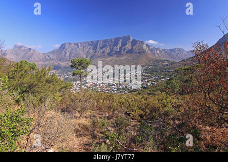 Rock-Weltmeisterschaft Wm Berg Seilbahn Afrika Südafrika Kapstadt Stockfoto