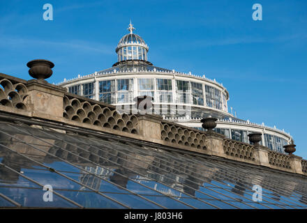 Botanischer Garten Universität Kopenhagen, Dänemark Stockfoto