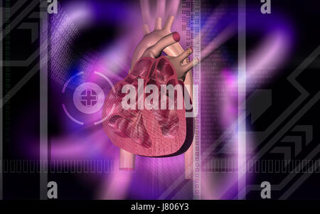 Bildung Gesundheit medizinisch medizinische Zirkulation Grafiken Farbe Wissenschaft menschlichen Stockfoto