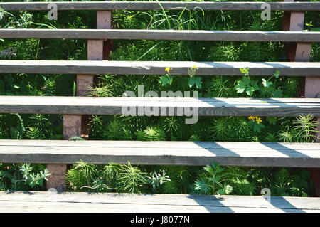 Die Treppe auf der Straße Gras gewachsen, und die Pflanzen wachsen zwischen den Treppen. Stockfoto