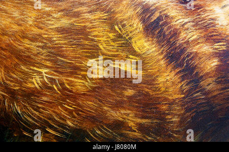Detail der tierischen Fellstruktur, handbemalt und grafischen Hintergrund Stockfoto
