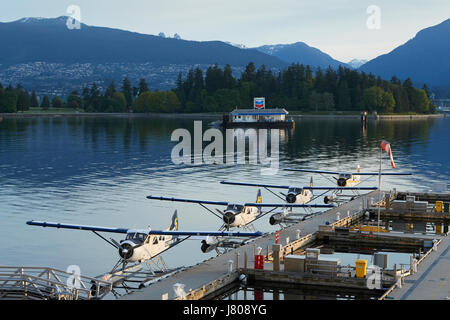 Harbour Air Wasserflugzeuge de Havilland Canada DHC-2 Beaver Wasserflugzeuge festgemacht an Vancouver Hafen Flug Centre, British Columbia, Canada. Stockfoto