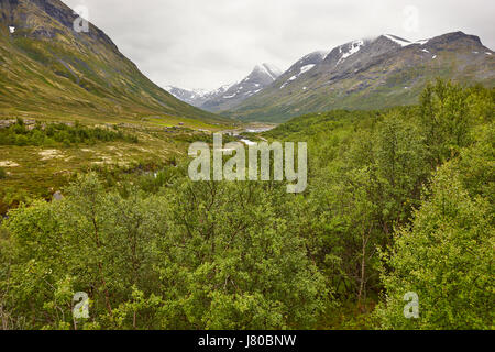 Traditionelle norwegische Berglandschaft mit grünen Wald. Norwegen Reisen Stockfoto