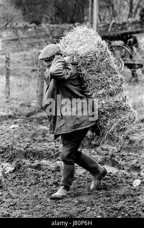 Farmer Farming UK England 1970er Jahre Gloucestershire Milchbauer, der einen Strohballen zur Fütterung seiner Kühe trägt. Die Cotswolds, Upper Slaughter, Gloucestershire Lower und Upper Slaughter sind Zwillingsdörfer am River Eye und werden als Slaughters bezeichnet. HOMER SYKES Stockfoto