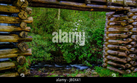 Lorbeer an historischen Mingus Mill, Great Smoky Mountains National Park, North Carolina Stockfoto