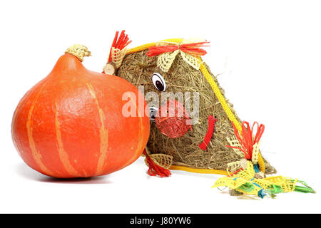 Red Kuri Squash und Kite gemacht Stroh isoliert auf weißem Hintergrund Stockfoto