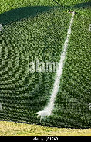 Eine Luftaufnahme von Ackerland und Pivot Sprinklern Bewässerung der Felder. Stockfoto