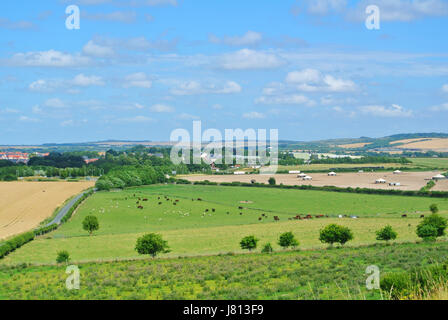 Ein Blick auf Felder und Herden von Kühen und Schafen weiden auf Ackerland in der Nähe von Old Sarum, Salisbury, England, UK. Stockfoto