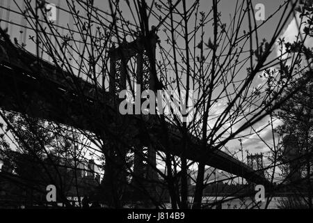 Blick durch Baum Zweig Silhouetten über den East River von der Manhattan Bridge von DUMBO in Brooklyn, New York. Stadt-Landschaft auf einem bewölkten Nacht Stockfoto
