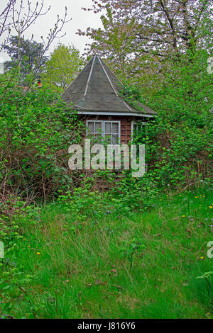 Ein wirklich verwilderten Garten Versteck saß ganz allein in die Seite eines Gartens. Stockfoto