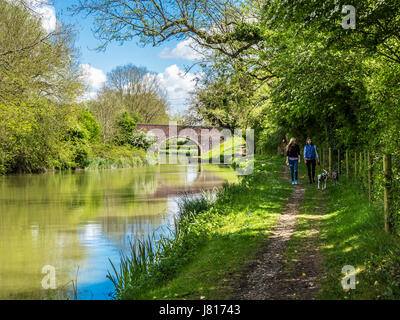 Zwei Freunde, die ihre Hunde entlang der Kennet und Avon Kanal in der Nähe von wenig Bedwyn in Wiltshire. Stockfoto