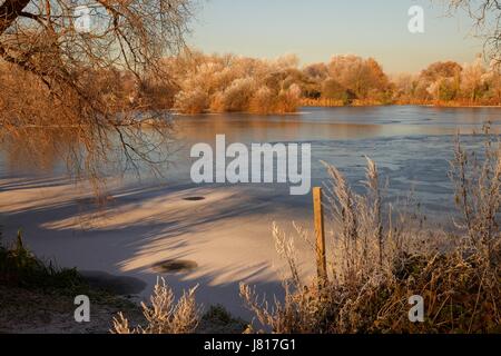 Bäume in Eiskristallen bedeckt und gefrorenen See angeln. Bedfordshire, England Stockfoto