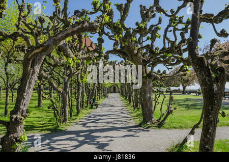 Dachau ist heute zunächst mit dem ersten deutschen Konzentrationslager verbunden, aber es ist noch mehr als das in Dachau Geschichte - Schloss Dachau. Stockfoto