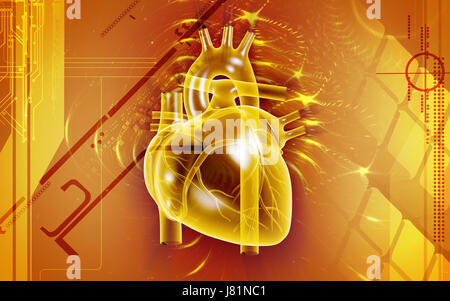 Bildung Gesundheit medizinisch medizinische Zirkulation Grafiken Farbe Wissenschaft menschlichen Stockfoto