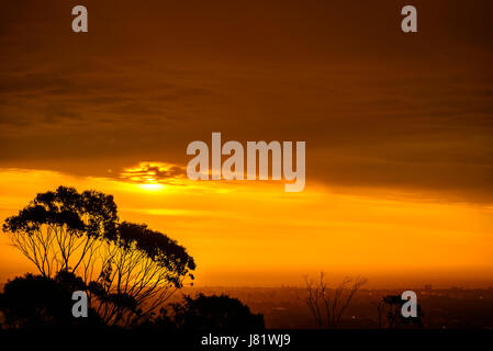 Dramatische Sunset über Gumtrees gesehen von Windy Point, South Australia Stockfoto