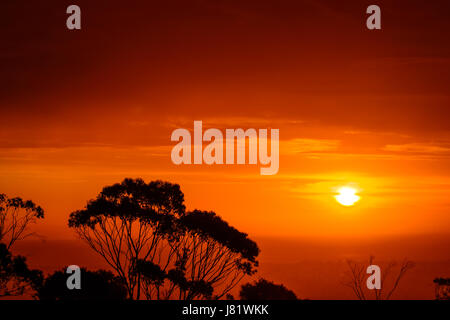 Dramatische Sunset über Gumtrees gesehen von Windy Point, South Australia Stockfoto