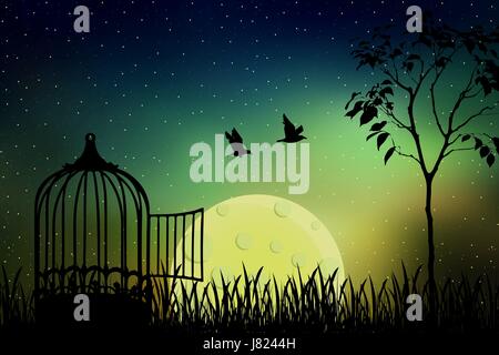 Vögel paar Flucht aus einem Käfig, in die Natur freigesetzt. Schöne und positive Vektor-Illustration mit dem Vollmond und Sternenhimmel Hintergrund. Stock Vektor