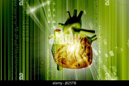 Bildung Gesundheit medizinisch medizinische Zirkulation Grafiken Farbe Wissenschaft menschlichen Stockfoto