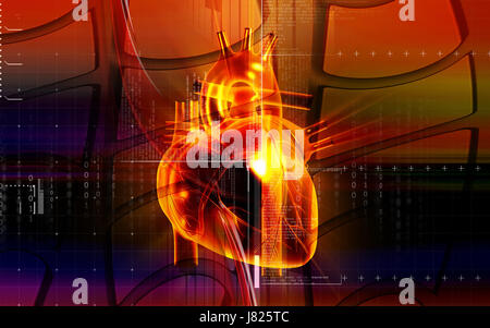 Bildung Gesundheit medizinisch medizinische Zirkulation Grafiken Farbe Wissenschaft menschlichen Stockfoto