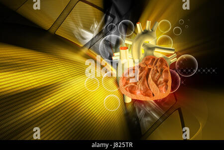 Bildung Gesundheit medizinisch medizinische Zirkulation Grafiken Farbe Wissenschaft menschlichen Stockfoto