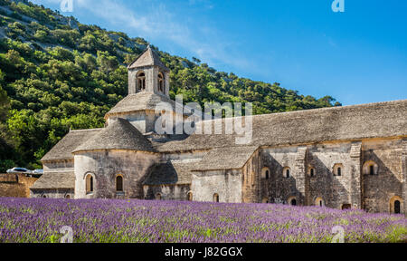 Frankreich, Provence-Alpes-Cote d ' Azur, Vaucluse, Lubéron, Sénanque Abbey, Abbaye Notre-Dame de Sénanque, Blick auf die Zisterzienser-Abtei mit Lavendelfeld Stockfoto