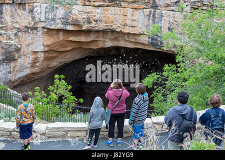 Carlsbad Caverns National Park, New Mexico - Touristen sehen Höhle Schwalben (Petrochelidon Fulva) aus der natürlichen Mündung nach Carlsbad Caverns fliegen