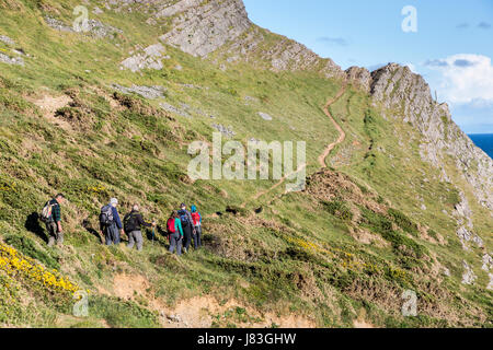 Gruppe der Wanderer auf dem Küstenpfad in der Nähe von Overton Klippen, Gower, Wales, UK Stockfoto