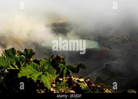 Dampf steigt aus dem Krater am Poas Vulkan in Costa Rica. Stockfoto