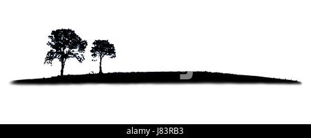 Objekt isoliert Baum Bäume silhouette niemand weiß Foto Natur isoliert Stockfoto