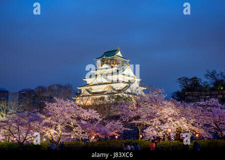 Osaka, Japan in Osaka Castle während der Kirschblüte Frühjahrssaison. Stockfoto