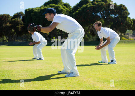 Seitenansicht der Spieler beim Spielen Cricket am sonnigen Tag im Bereich Biegen Stockfoto