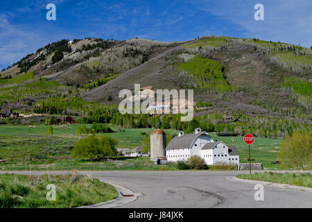 Weiße Scheune mit Silos gegen Bergkulisse. Stockfoto