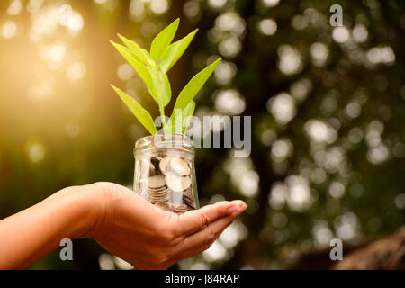 Hand mit Glas und haben Anlage auf Münzen für Geld und finanzielle, steuerliche Saison Stockfoto