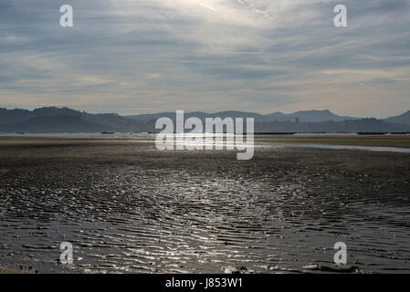 Galicischen Strand während der Ebbe. Foto im Mündungsgebiet Vigo, Galizien, Spanien. Stockfoto