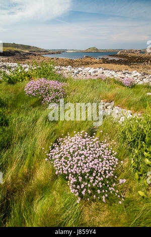 Warme sonnige Wetter auf der Insel St. Martin in die Isles of Scilly, die Großbritanniens heißesten Tag des Jahres im Jahr 2017. Stockfoto