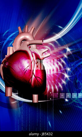 Bildung Gesundheit medizinisch medizinische Zirkulation Grafiken Farbe Wissenschaft menschlichen Stockfoto