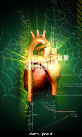Bildung Gesundheit medizinisch medizinische Zirkulation Grafiken Farbe Wissenschaft menschlichen Stockfoto