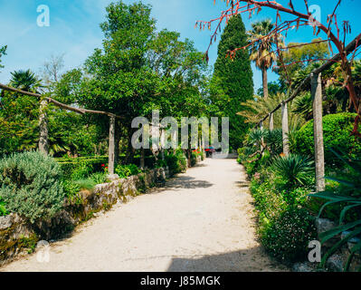 Üppige Vegetation, befestigten Durchgang und ein Pavillon im Arboretum Trsteno, Kroatien. Stockfoto