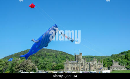 Drachensteigen im Margam Park Stockfoto