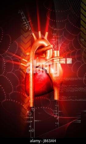 Bildung Gesundheit medizinisch medizinische Zirkulation Grafiken Farbe Wissenschaft menschlichen Stockfoto