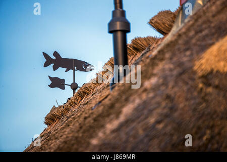 Rügen, Deutschland. 18. Mai 2017. Ein Fisch geformt Wetterfahne ist Bilder in Neu Reddevitz auf der Blatic Insel Rügen, Deutschland, 18. Mai 2017. Rügen ist die größte und bevölkerungsreichste deutsche Insel mit 77,000 Einwohnern. Foto: Jens Büttner/Dpa-Zentralbild/ZB/Dpa/Alamy Live News Stockfoto