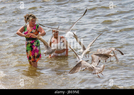 Blackpool, Lancashire, UK.  Großbritannien Wetter.  27. Mai, Tag der 2017.Sunny an der Küste von Fylde als Touristen, Urlauber und Einwohner die Wetter-Warnung ignorieren und Kopf kann für der Strand, erfrischen Sie sich unter den hohen Temperaturen. Kredite; MediaWorldImages/AlamyLiveNews. Stockfoto