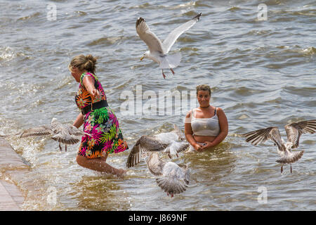 Blackpool, Lancashire, UK.  Großbritannien Wetter.  27. Mai, Tag der 2017.Sunny an der Küste von Fylde als Touristen, Urlauber und Einwohner die Wetter-Warnung ignorieren und Kopf kann für der Strand, erfrischen Sie sich unter den hohen Temperaturen. Kredite; MediaWorldImages/AlamyLiveNews. Stockfoto