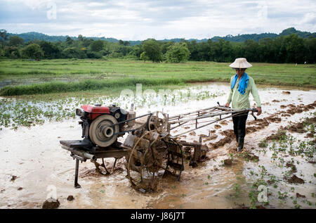 Nakhon Nayok, Thailand. 27. Mai 2017. Beginnen Sie mit dem Beginn der Regenzeit Bauern, die Reisfelder im ländlichen Thailand zu pflügen.  Ein Thai Bauer pflügt die Felder mit einem Hand-Traktor in Nakhon Nayok, Thailand. Bildnachweis: Lee Craker/Alamy Live-Nachrichten Stockfoto